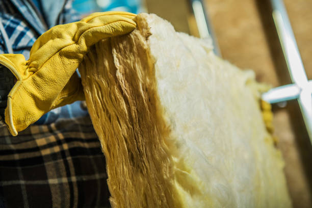 Best Energy Efficiency Insulation in Toledo, OH