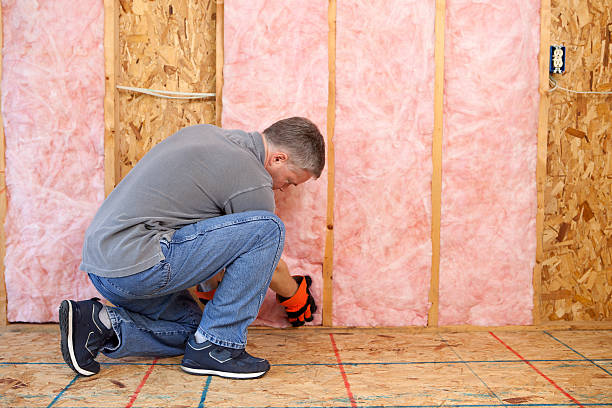 Best Insulation for Specific Applications in Toledo, OH